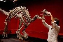 Nadir dinozavr skeleti Parisdə hərraca çıxarılacaq